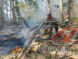 Polisi dan Petugas Gabungan Berhasil Padamkan Kebakaran Hutan Jati di Kabupaten Malang