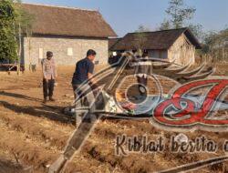 Respon Cepat Tanggapi Aduan Masyarakat, Polisi Bongkar Arena Judi Sabung Ayam di Banyuwangi