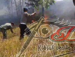 Polisi Bersama Petugas Gabungan Berhasil Padamkan Kebakaran Hutan Gunung Pucang Ranggah di Lumajang