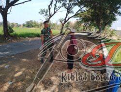 Petani Bertemu Sertu Suryadi, Sampaikan Keluhan Pupuk Hingga Obat Bertani