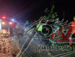 Hujan disertai Angin di Selatan Waduk Mulur, Babinsa Gerak Cepat Koordinasi dan Atasi Pohon Tumbang