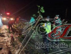 Hujan disertai Angin di selatan Waduk Mulur, Babinsa Gerak cepat Koordinasi dan atasi pohon tumbang