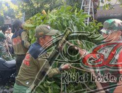 Ciptakan Solo Berseri, Babinsa Danukusuman Gandeng Linmas dan Warga Kerja Bakti