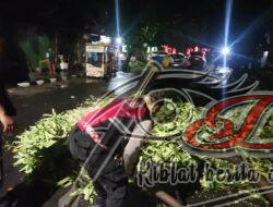 Gercep, Polisi Tangani Pohon Tumbang, Jalur Mudik Kota Kediri Kembali Lancar