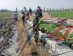 Satgas TMMD ke 120 Kodim 0726/Sukoharjo, Kerjakan Finishing Sasaran Talud