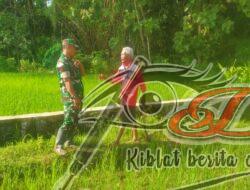 Babinsa Jalin Komunikasi Dengan Petani Jaten
