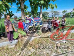 Dukung Ketahanan Pangan Polwan Polres Ngawi Didapuk Sebagai Polisi Wirotani