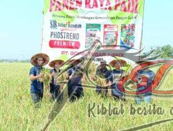Pentingnya Pupuk Yang Memiliki Unsur Hara