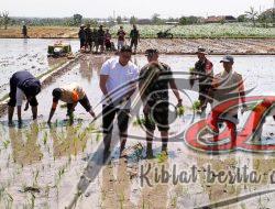 Kunjungan Kerja Wamentan RI Dan Komitmen Kodim Boyolali Dalam Perluasan Areal Tanam Di Wilayahnya