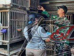 Babinsa Selo Motivasi Warga Yang Produktif