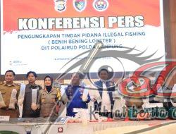 Penegakan Hukum Tegas untuk Perdagangan Benih Lobster Ilegal di Lampung