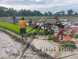 Tingkatkan Hasil Panen, Babinsa Kodim Boyolali Dampingi Petani