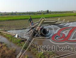 Babinsa Sawit Berperan Aktif Membantu PPL di Lapangan