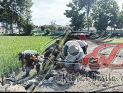 Demi Memperlancar Jalan Petani Menuju Sawah, Babinsa Bangun Talud