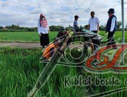 Momen Aparat dan Petani Gropyokan Hama Tikus di Desa Kedungupit, Sragen