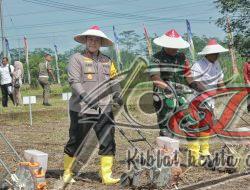 Kapolda Jatim dan Pj.Gubernur Tanam Jagung Serentak 1 Juta Hektar di Blitar Untuk Ketahanan Pangan Nasional