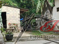 Bikin Resah, Judi Sabung Ayam Di Kecamatan Wlingin Blitar Aktif Beroperasi
