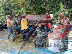 Musim Panen Padi Tak Lepas Dari Perhatian Babinsa Pilangsari
