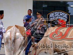 Kapolres Bondowoso Serahkan kembali Tiga Ekor Sapi Milik Warga yang telah di curi