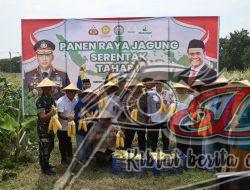Polres Pelabuhan Tanjung Perak Ajak Mahasiswa Panen Jagung di Tambak Wedi, dalam Rangka Swasembada Pangan