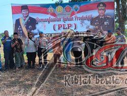 Mendukung Asta Cita Polsek Sukorejo Bersama Gapoktan Tanam Jagung di Karangsono untuk Ketahanan Pangan