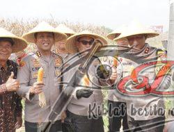 Kapolda Jawa Timur dan Forkopimda Panen Raya Jagung di Prambon Sidoarjo