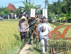 Dukung Ketahanan Pangan Kapolda Jatim Bersama Forkopimda Panen Raya Padi di Ngawi