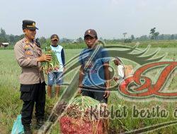 Kapolres Pasuruan, AKBP Jazuli Dani Iriawan: Polri Harus Terlibat Aktif di Sektor Pangan