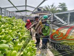 Dukung Ketahanam Pangan Bhabinkamtibmas Tanjung Perak Dampingi Warga Rawat Tanaman Hidroponik.