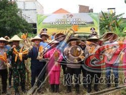 Polres Pelabuhan Tanjung Perak Panen Raya Jagung Tahap 7, Perkuat Ketahanan Pangan Menuju Indonesia Emas
