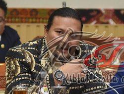 Politisi Gerindra Apresiasi Penangkapan Admin-Anggota Grup ‘Fantasi Sedarah’ oleh Polisi