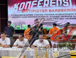 Dittipidter Bareskrim Polri Ungkap Perdagangan Ilegal Gading Gajah di Sukabumi dan Jakarta