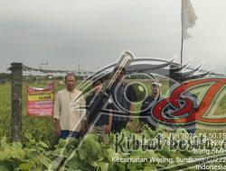 Ahli Waris Alm. Tosari Tuntut Keadilan atas Tanah di Klumprik Surabaya, Diduga Dilibatkan Mafia Tanah dan Oknum Pejabat