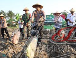 Sinergi Wujudkan Ketahanan Pangan, Kapolres Pelabuhan Tanjung Perak Pimpin Penanaman Benih Jagung di Kenjeran