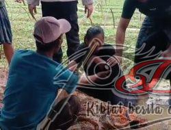Tersambar Petir Saat Hujan Deras, Seorang Warga Torjun Meninggal Dunia di Tempat