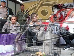 Satreskrim Polresta Sidoarjo Ungkap Perdagangan Ilegal Satwa Lindung Jaringan Internasional