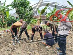 Polres Tanjung Perak Bersama PPL Intensifkan Pengecekan pH Tanah Lahan Jagung Kenjeran.