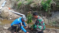 Hijaukan Lereng Sungai, Babinsa Mliwis Bersama Warga Tanam Pohon Demi Cegah Banjir dan Longsor