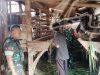 Babinsa Kalangan Pantau Peternakan Kambing, Pastikan Kondisi Ternak Terjaga
