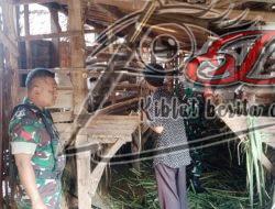 Babinsa Kalangan Pantau Peternakan Kambing, Pastikan Kondisi Ternak Terjaga