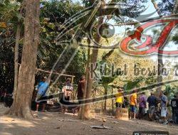 Sabung Ayam Di Kecamatan Balerejo Kabupaten Madiun Bebas Beroperasi, Polres Diminta Bertindak Tegas