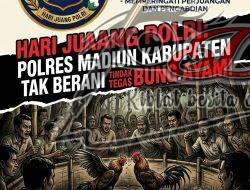 Usai Di Dumas, Bukanya Ditindak Sabung Ayam Balerejo Madiun Disuruh Tutup Sementara
