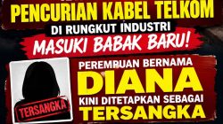 Diana Kini Ditetapkan Sebagai Tersangka Dalam Kasus Pencurian Kabel Telkom Di Rungkut Industri