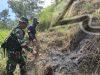 Cegah Karhutla di Lereng Merapi, Babinsa dan Petugas TNGM Perkuat Patroli dan Pemetaan Jalur Evakuasi
