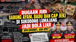 Meski Didumas, Judi Sabung Ayam Sukodono Lumajang Tidak Ditindak. Apakah Sudah Masuk Angin
