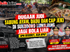 Meski Didumas, Judi Sabung Ayam Sukodono Lumajang Tidak Ditindak. Apakah Sudah Masuk Angin