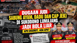 Meski Didumas, Judi Sabung Ayam Sukodono Lumajang Tidak Ditindak. Apakah Sudah Masuk Angin