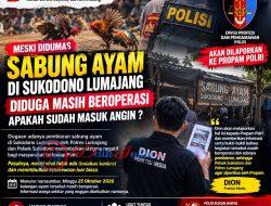 Diduga Masih Beroperasi Meski Telah Didumas, Dion Akan Laporkan Dugaan Pembiaran Sabung Ayam di Sukodono Lumajang ke Propam Polri
