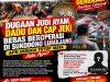 Dugaan Judi Ayam, Dadu, dan Cap Jeki Bebas Beroperasi di Sukodono Lumajang, APH Disorot: Ada Apa?