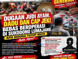 Dugaan Judi Ayam, Dadu, dan Cap Jeki Bebas Beroperasi di Sukodono Lumajang, APH Disorot: Ada Apa?